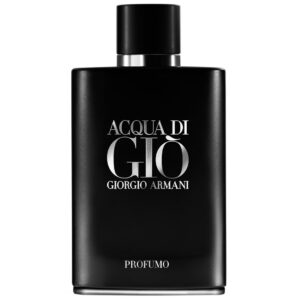 Armani Acqua Di Gio Pour Homme 100ml