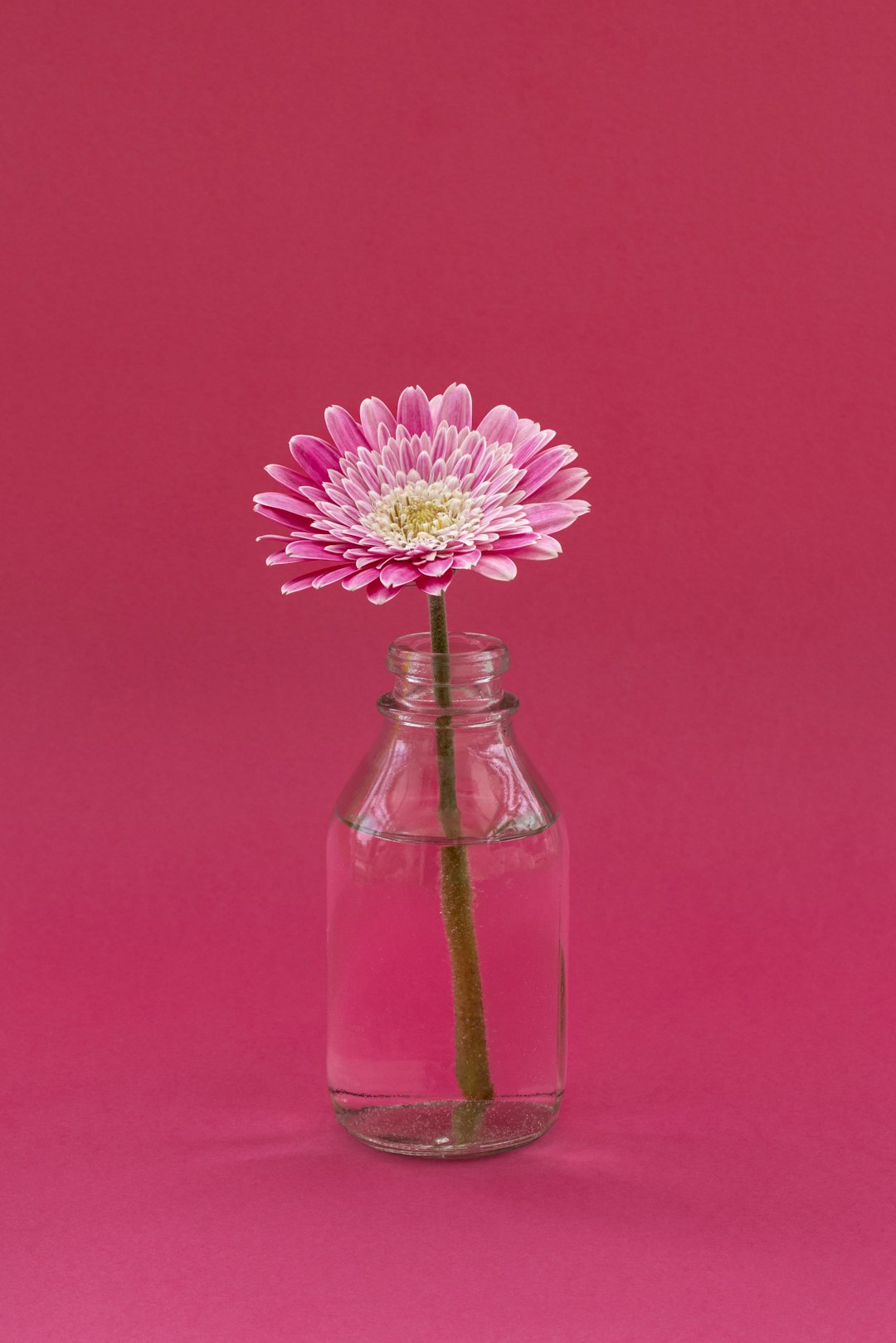 Pink fragrance image for women's fragrances